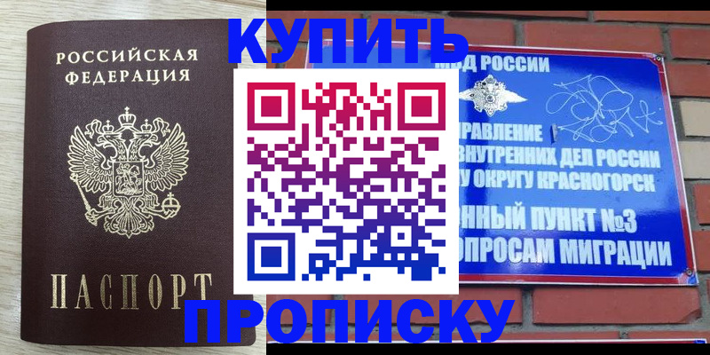прописка гарантия в Борзе